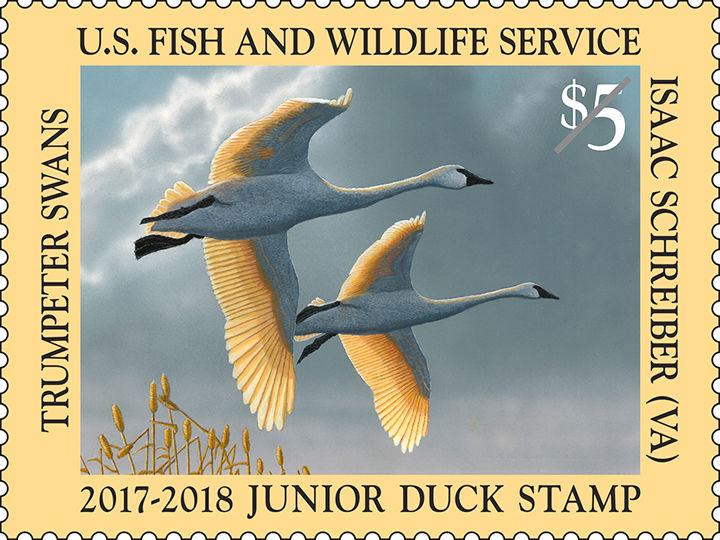 Duck Stamp unveiled – Albany Herald