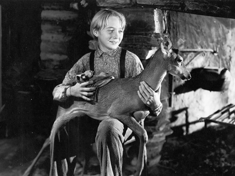Claude Jarman Jr. recalls family classic 'The Yearling' – Albany Herald