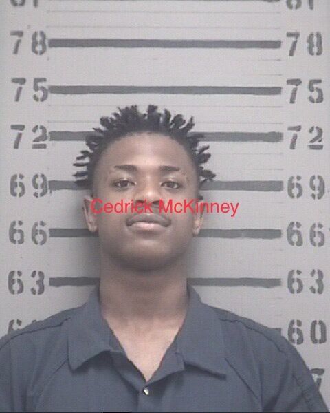 Albany Police Department nets multiple arrests during searches of two ...