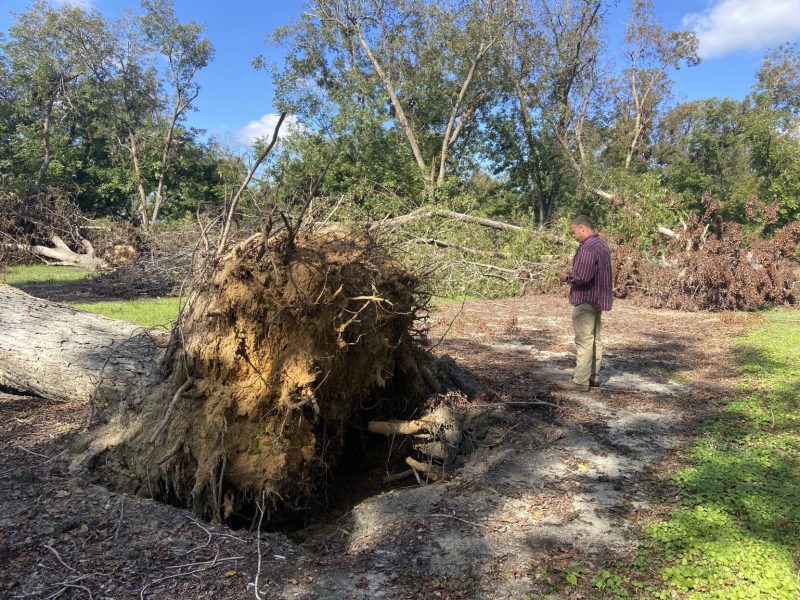 Hurricanes, high input costs and low sales prices put Georgia 